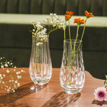 Carregar imagem no visualizador da galeria, Set Vasos De Cristal